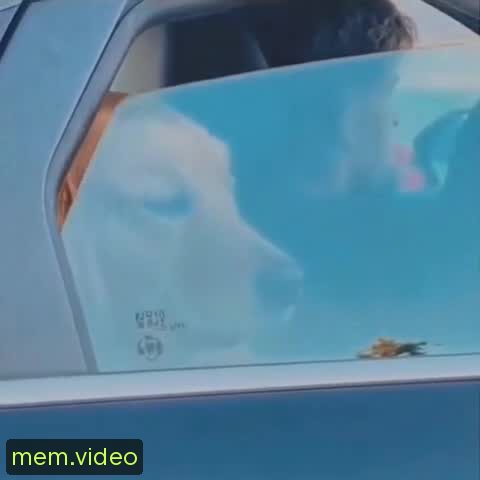 Кадр на 0:09