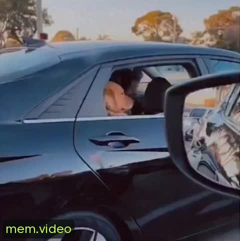 Кадр на 0:00