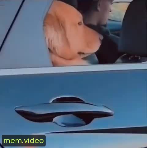 Кадр на 0:01