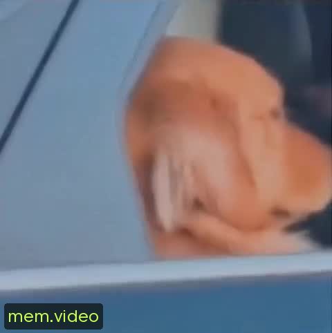 Кадр на 0:02