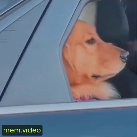 Кадр на 0:02