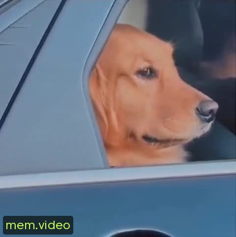 Кадр на 0:03