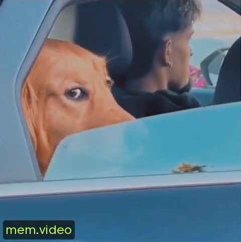 Кадр на 0:07