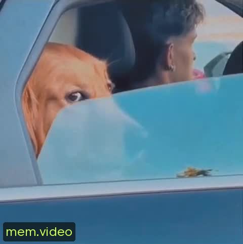 Кадр на 0:08