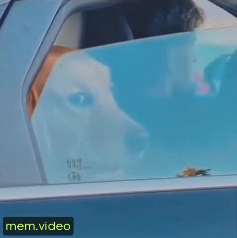 Кадр на 0:09