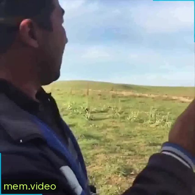 Кадр на 0:04