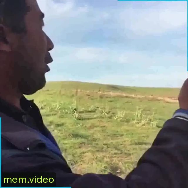 Кадр на 0:08