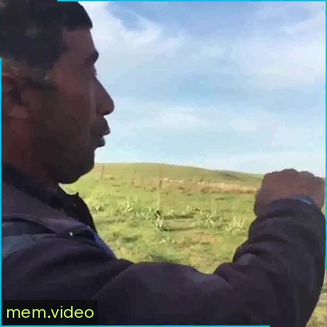 Кадр на 0:20