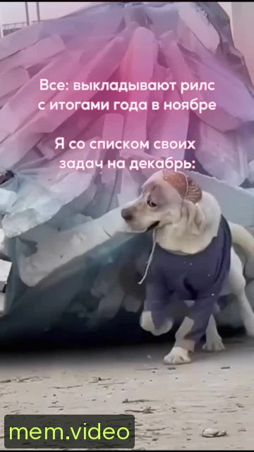 Кадр на 0:00