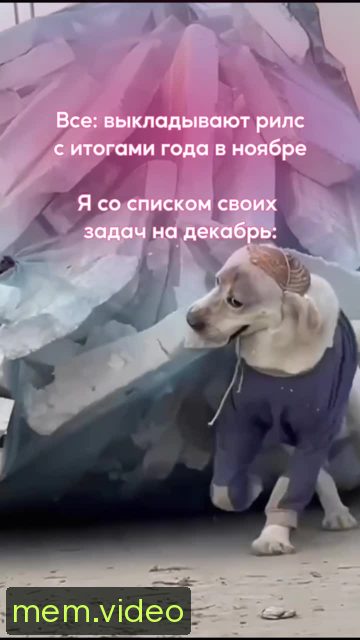 Кадр на 0:00