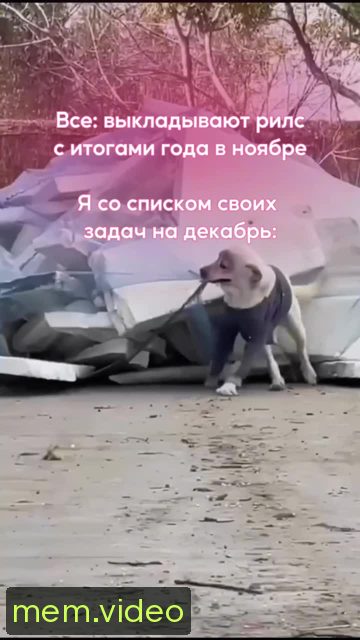 Кадр на 0:01