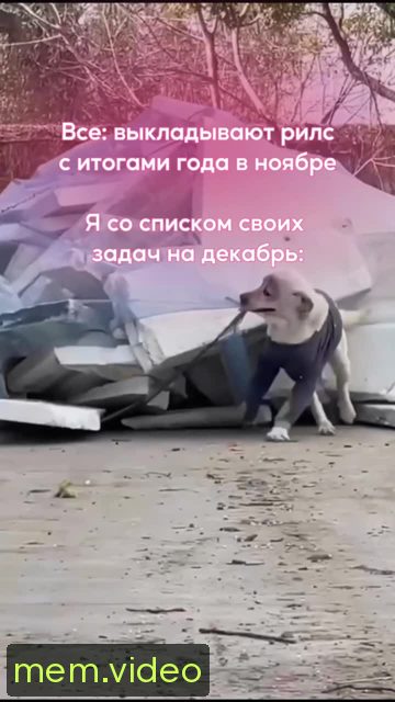 Кадр на 0:02