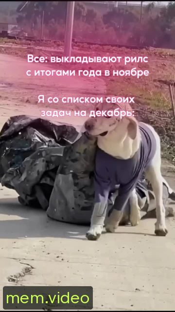 Кадр на 0:03