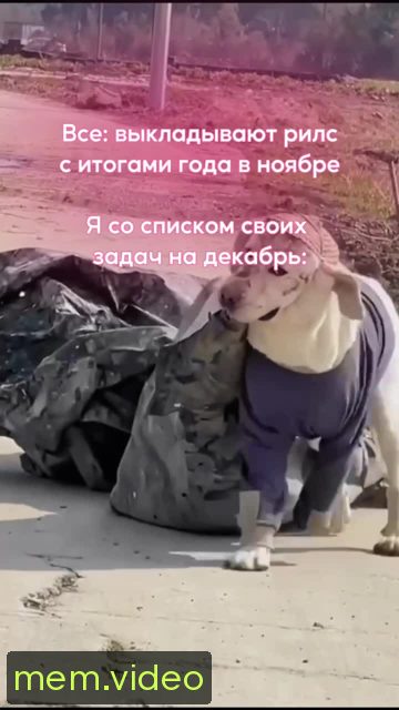 Кадр на 0:03