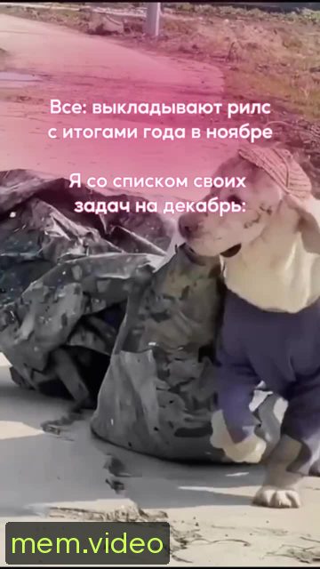 Кадр на 0:04