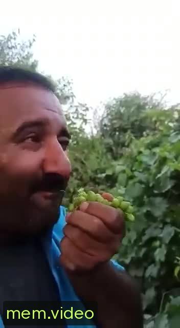 Кадр на 0:05
