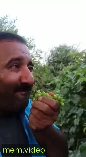 Кадр на 0:05