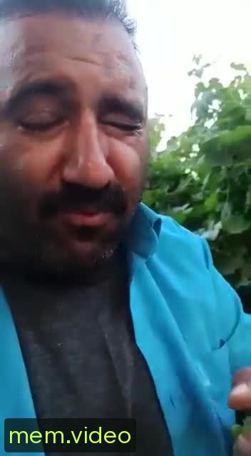 Кадр на 0:10