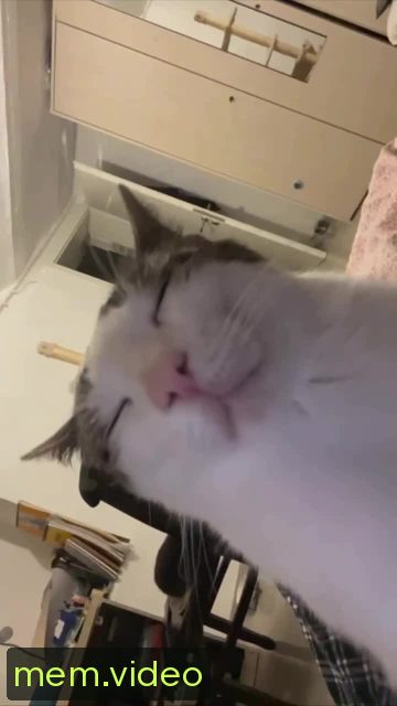 Кадр на 0:00