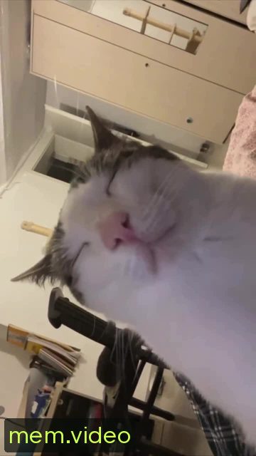 Кадр на 0:00