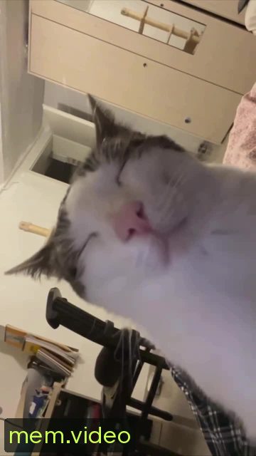 Кадр на 0:01