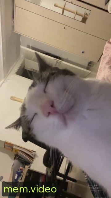 Кадр на 0:00