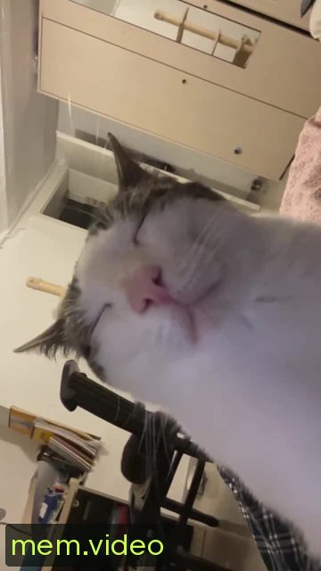 Кадр на 0:00