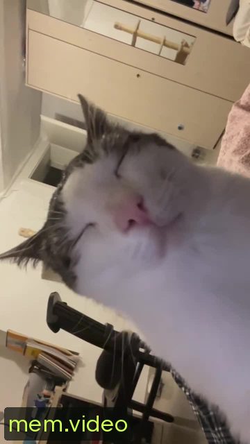 Кадр на 0:04
