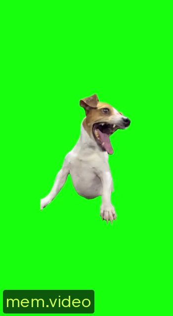 Кадр на 0:01
