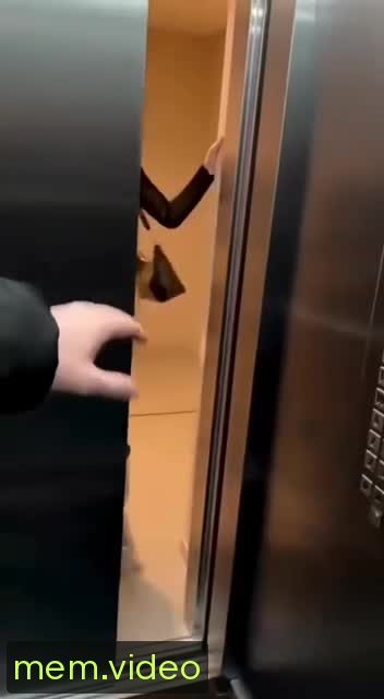 Кадр на 0:00