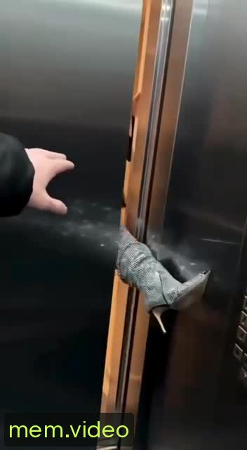 Кадр на 0:00