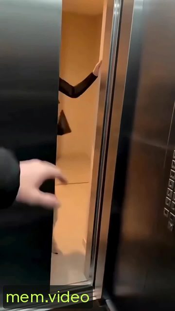 Кадр на 0:00
