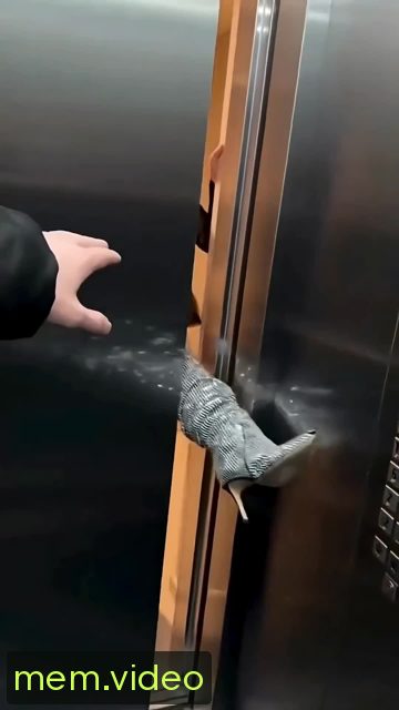 Кадр на 0:00