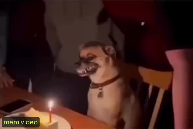 Кадр на 0:00