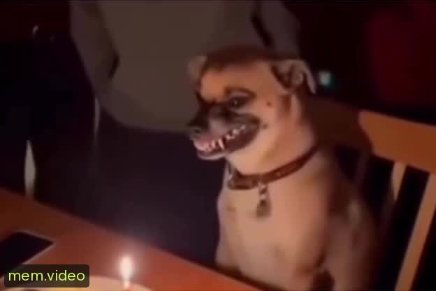 Кадр на 0:01
