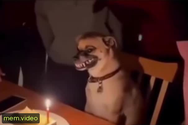 Кадр на 0:00