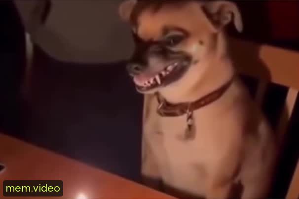 Кадр на 0:03