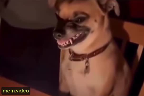 Кадр на 0:04