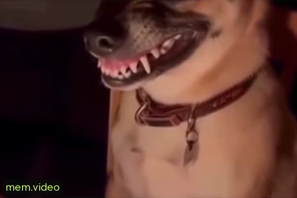 Кадр на 0:08