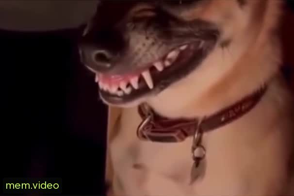 Кадр на 0:09