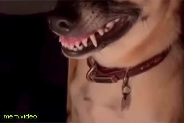 Кадр на 0:10