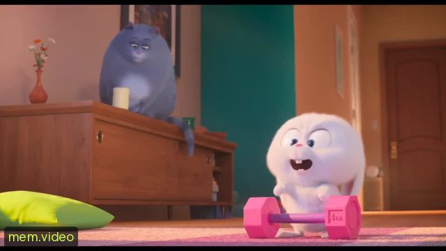 Кадр на 0:07