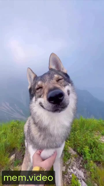 Кадр на 0:04
