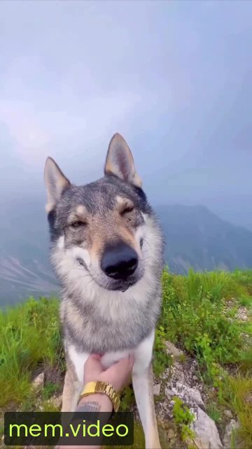 Кадр на 0:05