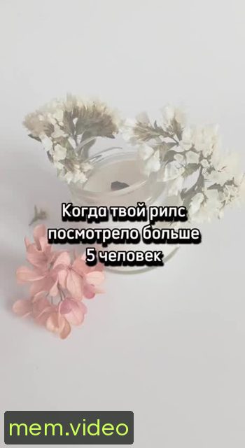 Кадр на 0:00