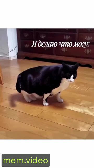 Кадр на 0:04