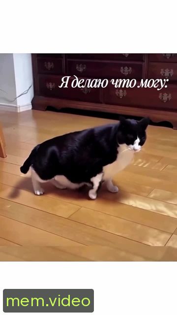 Кадр на 0:05