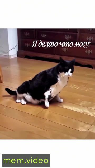 Кадр на 0:05