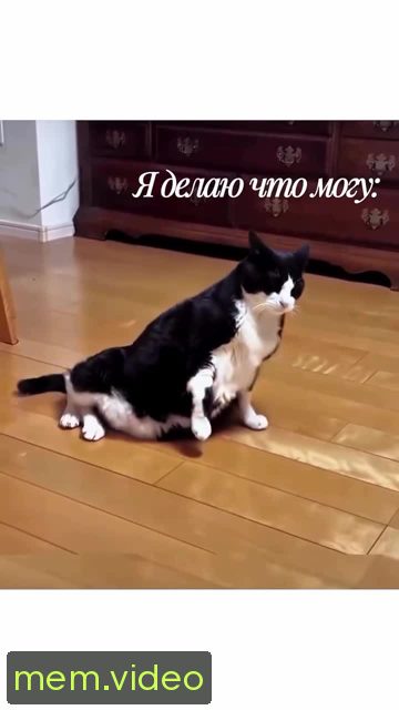 Кадр на 0:06