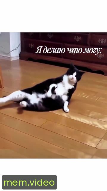 Кадр на 0:07